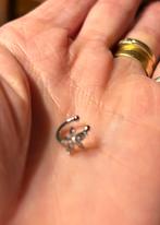 Nieuwe ! Nep neus/oorbel., Handtassen en Accessoires, Oorbellen, Overige materialen, Nieuw, Ophalen of Verzenden, Zilver