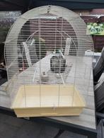 Grote kooi zie foto's, Dieren en Toebehoren, Ophalen, Gebruikt, Metaal, Vogelkooi