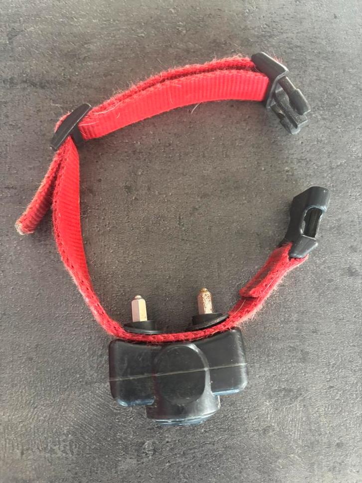 PETSAFE-halsband voor vluchtschermen voor kleine honden, Dieren en Toebehoren, Hondenhalsbanden en Penningen, Gebruikt, Ophalen