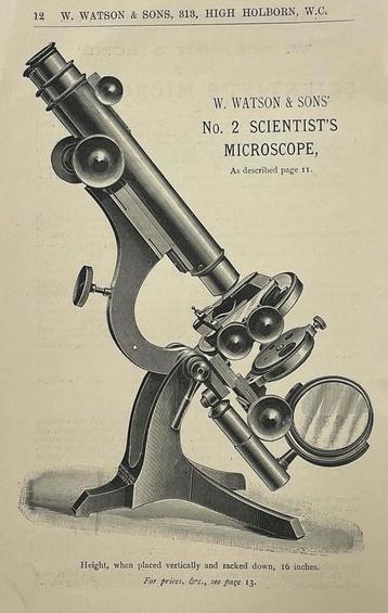 binoculaire microscoop  beschikbaar voor biedingen