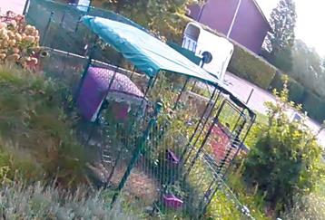 Omlet stalen inloopren (2  3 x 2 m) beschikbaar voor biedingen