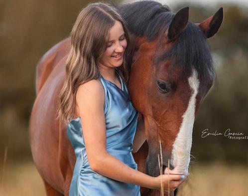 Halve stal gezocht, Dieren en Toebehoren, Paarden en Pony's | Zadels, Ophalen of Verzenden