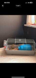 Konijnenhok te koop, Dieren en Toebehoren, Ophalen, Nieuw, Hok