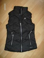 bodywarmer zwart merk gaastra - maat xs - als nieuw duur ina, Gaastra, Zwart, Ophalen of Verzenden, Zo goed als nieuw
