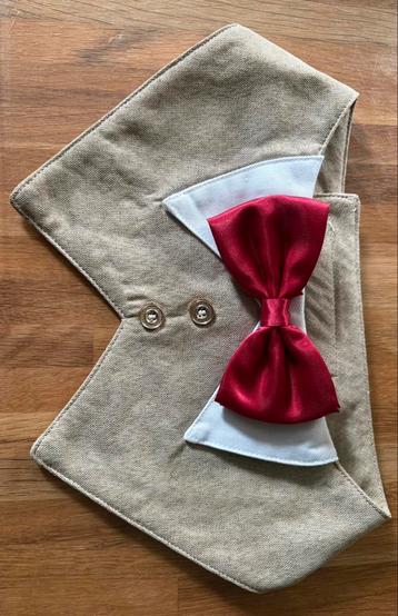 Kostuum voor dier maat L, Dieren en Toebehoren, Hondenkleding, Ophalen of Verzenden, Hondenkostuum