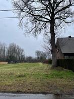 Boom Gratis Kappen - Gratis hout, Tuin en Terras, Brandhout, Ophalen, Eikenhout, Stammen