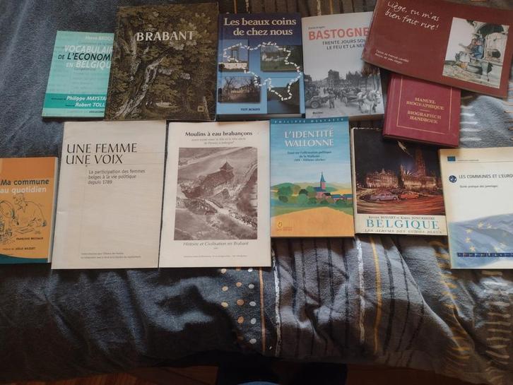Lot de 12 livres divers sur la Belgique bon état, Boeken, Geschiedenis | Stad en Regio, Ophalen of Verzenden