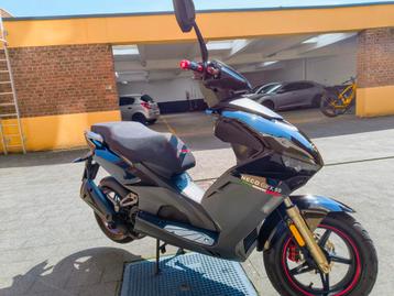 Scooter neco GPX 50 4t classe A année 2023, Neco, 49 cm³, Comme neuf, Enlèvement