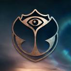 1 day ticket tomorrowland 19 July, Tickets en Kaartjes