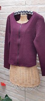 Jasje (vestje) maat l vila, Kleding | Dames, Jasjes, Kostuums en Pakken, Maat 42/44 (L), Ophalen of Verzenden, Zo goed als nieuw