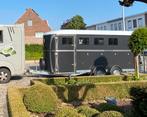 FAUTRAS PAARDENTRAILERS  OBLIC PROMAX PROVAN JMS IMARA NUNO, Ophalen, Nieuw, Polyester, Overige typen