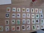 Panini 2004 33 verschillende emblemen, Ophalen of Verzenden, Zo goed als nieuw