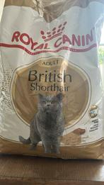Kattenvoer Royal Canin - British Shorthair, Dieren en Toebehoren, Dierenvoeding, Ophalen, Kat