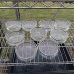 Choux 9 pièces, Envoi, Utilisé, Autres types