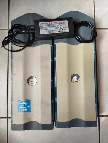 Batavus Elektrische fiets Batterijen + lader! beschikbaar voor biedingen