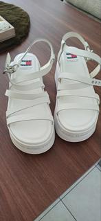 Tommy hilfiger, Ophalen, Zo goed als nieuw