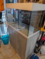 aquarium oase 150 l met kast, Ophalen, Zo goed als nieuw, Leeg aquarium