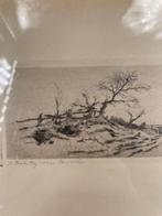 Landschapsgravure - Artiest om te identificeren - Gesigneerd, Antiek en Kunst, Ophalen of Verzenden