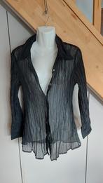 chemise froissée T42, Kleding | Dames, Ophalen of Verzenden, Gedragen