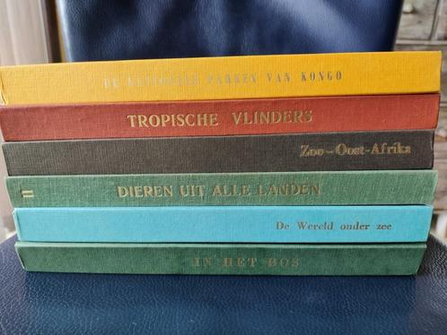 Artis boeken: dieren en natuur, Boeken, Prentenboeken en Plaatjesalbums, Zo goed als nieuw, Plaatjesalbum, Ophalen of Verzenden