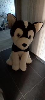Knuffels, Kinderen en Baby's, Speelgoed | Knuffels en Pluche, Ophalen, Zo goed als nieuw, Hond
