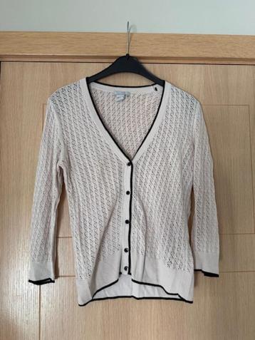 Cardigan fin H&M taille S (nr8148) 