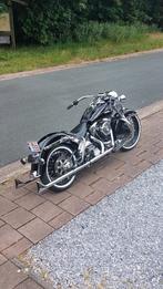 Harley softail heritage 1340, Particulier