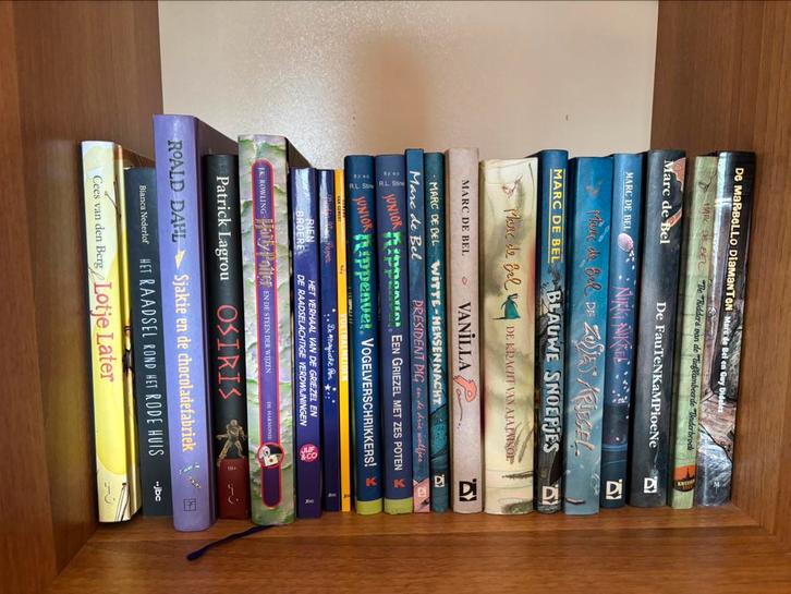 jeugdboeken in mooie staat, Boeken, Kinderboeken | Jeugd | 10 tot 12 jaar, Zo goed als nieuw, Ophalen of Verzenden