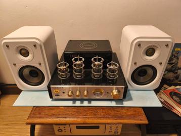 AMPLI BLUETOOTH & HP beschikbaar voor biedingen