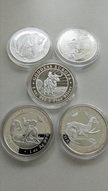 Set van 5 zilveren 1 oz munten beschikbaar voor biedingen