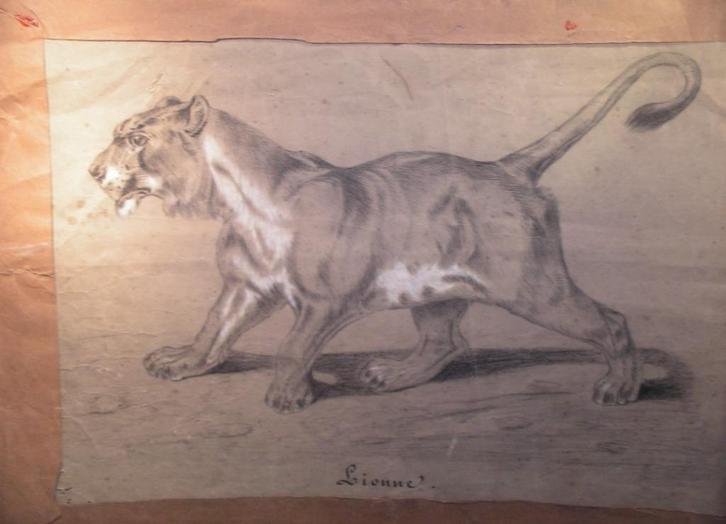 OUDE HOUTSKOOL VERBETERD "PORTRET VAN LEEUWIN", Antiek en Kunst, Kunst | Tekeningen en Fotografie, Ophalen of Verzenden