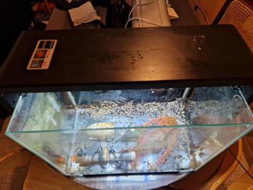 Aquarium + licht + verwarming, Dieren en Toebehoren, Ophalen, Gebruikt, Leeg aquarium
