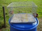 dierenkooi, Ophalen, Gebruikt, Hamster
