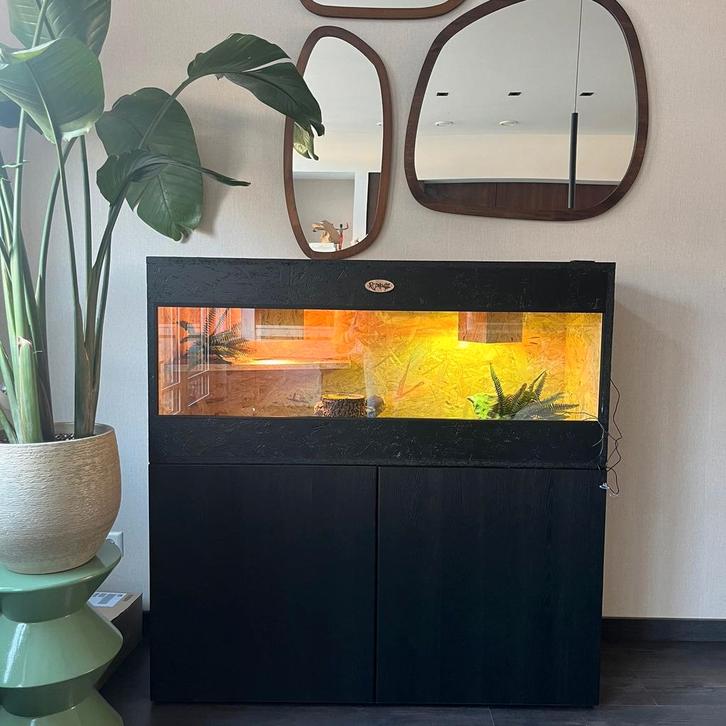 Osb3 terrarium RepHouSZ. Ook maatwerk, Animaux & Accessoires, Reptiles & Amphibiens | Accessoires, Neuf, Terrarium ou Paludarium