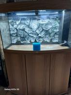 Aquarium vision Juwel 180l avec armoire, Ophalen, Zo goed als nieuw, Leeg aquarium