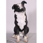 Border Collie — Statue Border Collie Longueur 75 cm