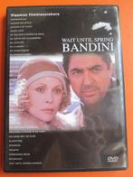 Wait Until Spring Bandini, Cd's en Dvd's, Dvd's | Drama, Alle leeftijden, Ophalen of Verzenden, Zo goed als nieuw, Drama