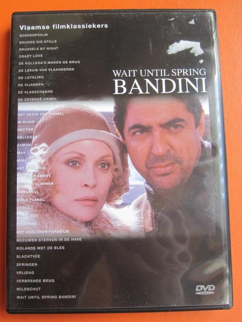 Wait Until Spring Bandini, Cd's en Dvd's, Dvd's | Drama, Zo goed als nieuw, Drama, Alle leeftijden, Ophalen of Verzenden