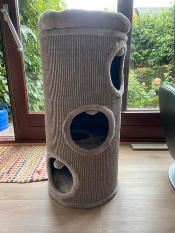 Kattenkrabton - DIOGENES beschikbaar voor biedingen