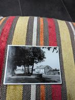 Rossignol, Ophalen of Verzenden, Gelopen