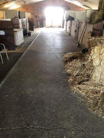box pour chevaux, Animaux & Accessoires, Box & Pâturages, Pâturage, 2 ou 3 chevaux ou poneys