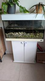 Te koop aquarium, Enlèvement, Utilisé, Aquarium d'eau douce rempli