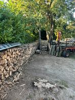 Bois de chauffage, Tuin en Terras, Brandhout, 6 m³ of meer, Ophalen, Eikenhout, Blokken