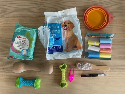COMPLETE puppyset, Dieren en Toebehoren, Honden-accessoires, Zo goed als nieuw, Ophalen