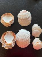 Apero potjes, Huis en Inrichting, Keuken | Servies, Ophalen, Zo goed als nieuw, Overige typen