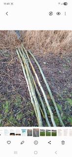 Jonge knotwilgen, Tuin en Terras, Ophalen