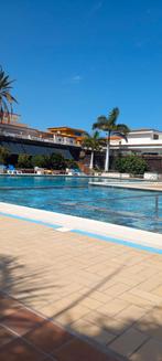 Op vakantie met mooie gespierde man, Contacten en Berichten