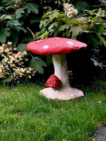 1 vieux champignon en béton 50c50cm