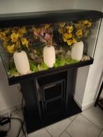 Aquarium met tafel +pomp+licht+filter..., Dieren en Toebehoren, Vissen | Aquaria en Toebehoren, Ophalen, Gebruikt, Leeg aquarium