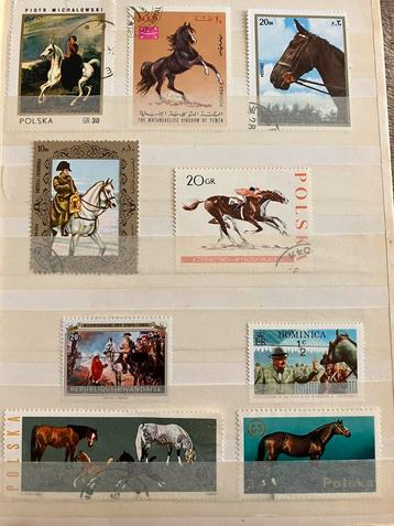 Lot 34 postzegel ‘PAARDEN’. beschikbaar voor biedingen